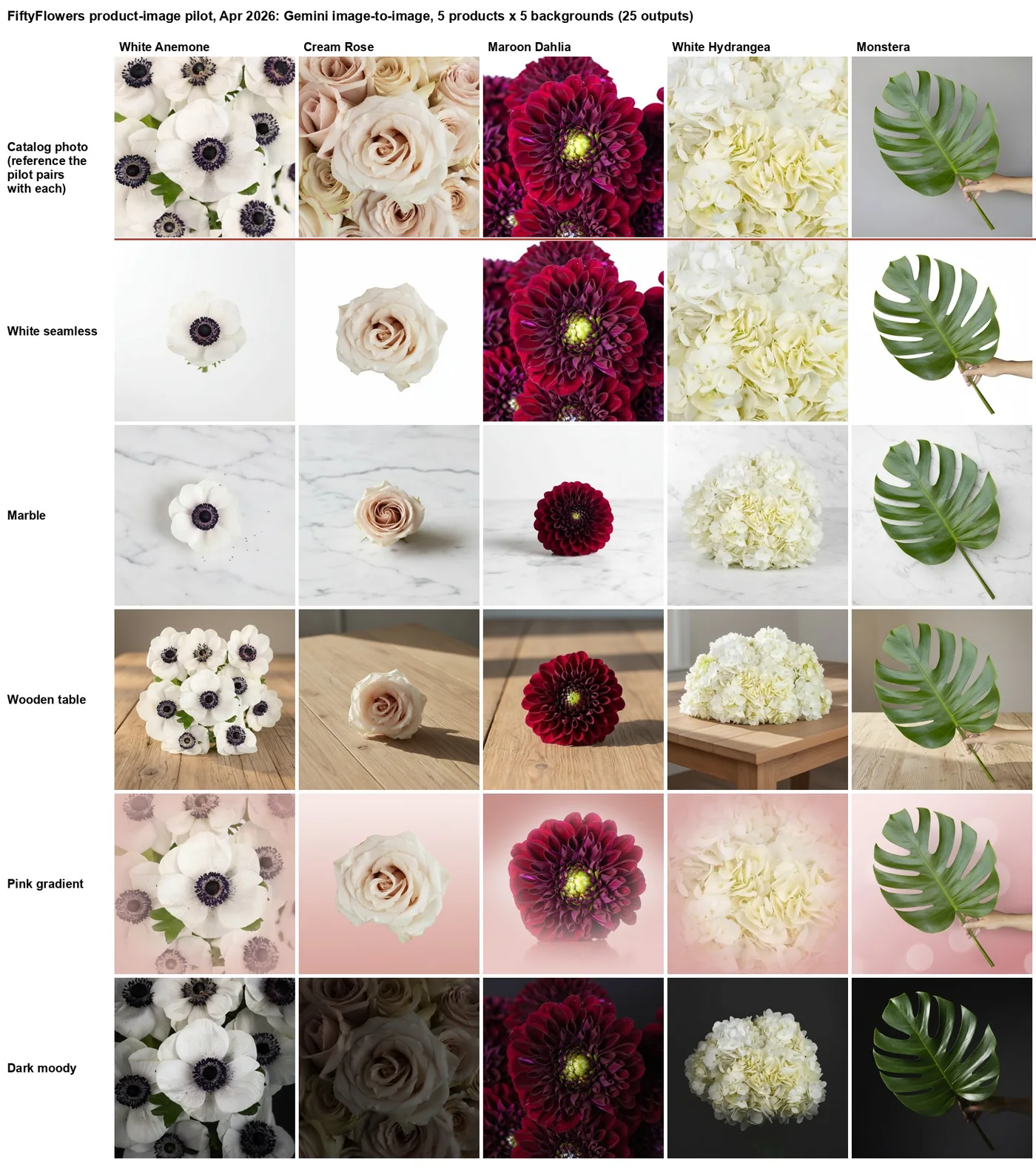 Grid of catalog flower photos re-rendered on five different backgrounds