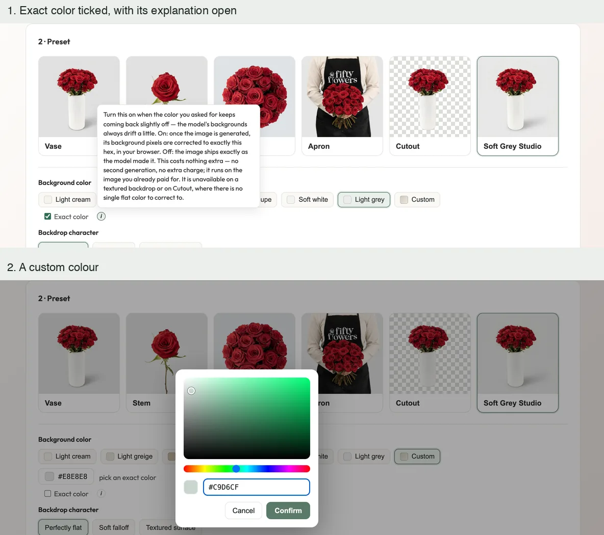 The Exact color option with its explanation open, and a custom colour picker