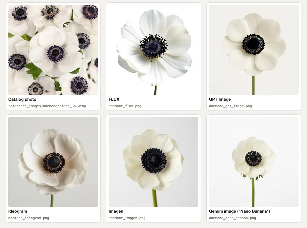 A catalog photo of white anemones beside five generated versions labelled by model