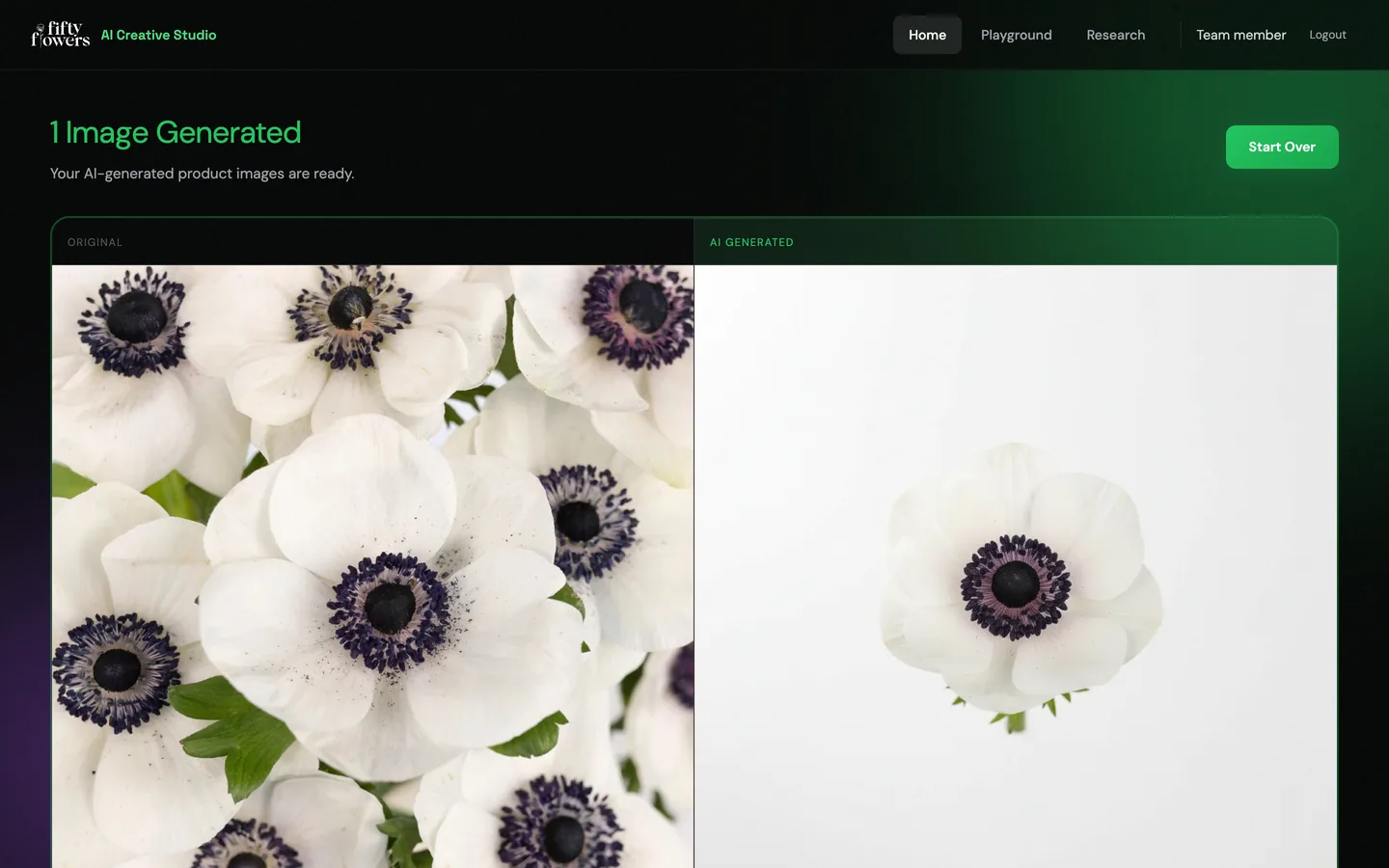A catalog photo of white anemones beside a single anemone on a white background