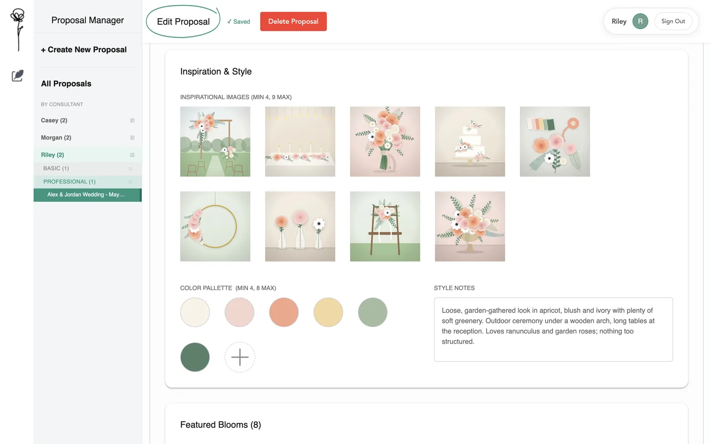 Inspiration pictures, six palette colours and style notes in the editor