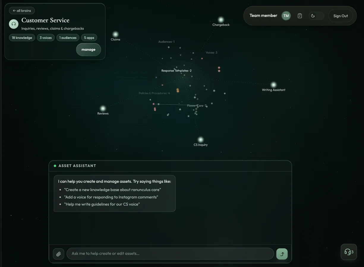 A team brain view with a constellation and an assistant panel